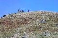 Wigwams 2003